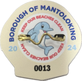 2024 Beach Badge