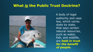 What is the Public Trust Doctrine